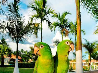 Hotel Rosalinda Campestre Del Llano